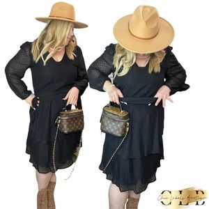 Swiss Dot Chiffon Plus Dress